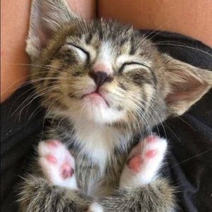 Meet your Posher, Emma